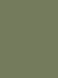 Обои флизелиновые Hygge Hg7 005/1 (1,00х10,05) зеленые (рул.)