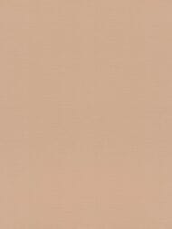 ���� ��������� �� ��������� Rasch Natural Colors (0,53�10,05) �����, ���������� 687576 (���.)