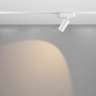 �������� ���������� Maytoni Focus Led Radity (����� ������) TR103-1-12W3K-M-W 3000K 12�� 36�, IP20, �����