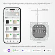 Умный сенсорный диммер Werkel W3443141, дымчатый