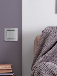 Рамка LEGRAND INSPIRIA 1 пост алюминий 673932