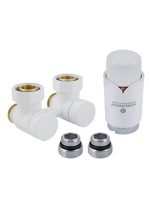 SCHLOSSER  (  + )   601000020