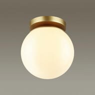���������� ���������� Odeon Light 4247/1C, ������� ������
