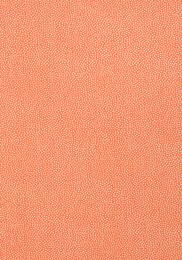 ���� ������������ Thibaut Paramount (0,69�8,22) ��������� T2967 (�����)