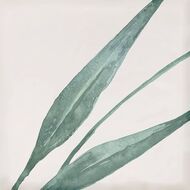 ������ ��������� Eletto Mate Decor Greens (150�150) �����, ������� 00-00108861 (��.�.)