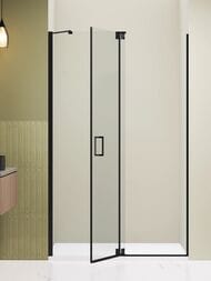 Душевая дверь RGW Hotel HO-014B (1000х2000) распашная, стекло 8мм прозрачное/черный 350601410-14 — изображение 4