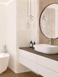 ������ ��������� Alma Ceramica Plesso (249x500) ������� TWU09PLS024 (��.�)