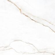 ��������������� ������ Pamesa Torano Dorado polished (600�600) ����� (��.�.)
