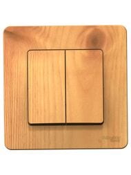 Выключатель Systeme Electric BLANCA скрытой установки 2-клавишный cх.5, 10A 250B, ясень BLNVS010505