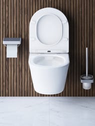 Унитаз подвесной Damixa Skyline (365х485х400) безободковый с сиденьем микролифт DX35C1700SC