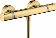 ��������� Hansgrohe Ecostat Comfort 13116990 ��������� ��� ����, ���������, �����. ������