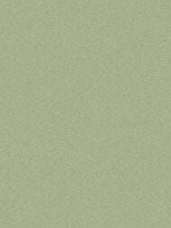 Обои флизелиновые Hygge Hg5 005 (1,00х10,05) штукатурка, зеленые (рул.)