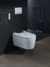 ������-���� GEBERIT AquaClean Sela ���������, ������ ���� ������   146.224.21.1