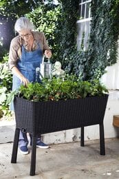 ����� KETER EASY GROW (114x49,3x75,5) �� ������, ��������