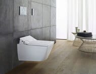 ������� ����� Duravit A2 229,8�157 ��� �������� �������������, ������, ���� ����� WD5003012000