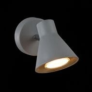 ���� Freya Claris (������) FR4308-WL-01-GR, 220/240 V, IP 20, �����