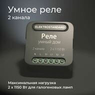 Умное двухканальное реле Elektrostandard a059326, черный