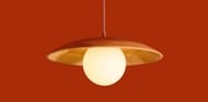 ��������� ���������� Freya Albero (������) FR5589PL-01T, 220/240 V, IP20,������