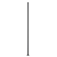 ����� ��� ��������� ����������� Maytoni Pillar (�����) O473P-GF,������