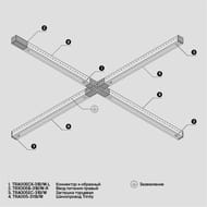 �������� �������� Maytoni Trinity (�������) TRA005EC-31W �����, 1��, �����