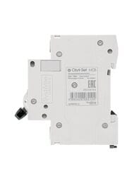 Выключатель Systeme Electric автоматический двухполюсный 6А С 4.5kA City9 Set C9F34206