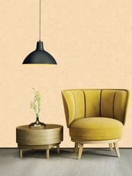 ���� ������������ Artsimple Valley (1,0�10,05), ������� ARTS13 003/4 (���.)