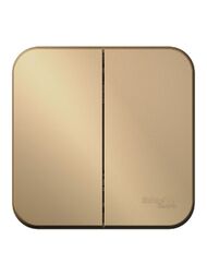 Выключатель Systeme Electric BLANCA 2-клавишный наружный (схема 5) 10A 250B титан BLNVA105014