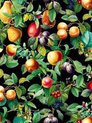 ���� ��������� �� ��������� Marburg Gloockler Pompoos Provence 35634 (0,53�10,05) ������������ (���)