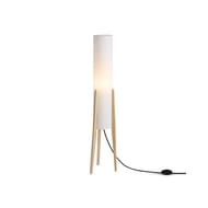 ��������� ���������� Freya Bliss (����) FR5543FL-01T, 220/240 V, IP 20, �����