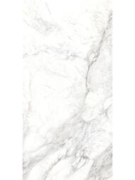 ��������������� ������ Delacora ������ (600x1200) D120242M (��.�)
