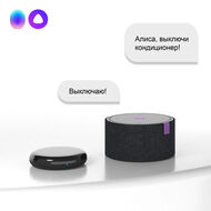 Умный инфракрасный пульт ДУ Elektrostandard a061040, черный