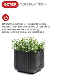 ����� KETER CUBE PLANTER M 50.5 � (40x40x40), ����������