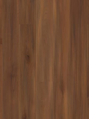 ��������� ����� TARKETT Tango ��� ������ ���� (2215�164�14) ���������� (��.�.)