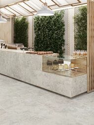 ��������������� ������ Porcelanite Dos Rapolano 1867 Grey (1000x1000) ��� ������ (��.�.)