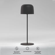 Уличная настольная лампа Elektrostandard Bitty TL70260 a069002, черный