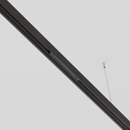 ��������� ������� ������ Maytoni Exility (��������) TRA034PC-42B ������, IP20