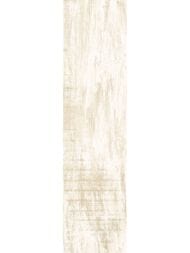 ��������������� ������ New Trend ����� (151x602) GP1560SHA01 (��.�)