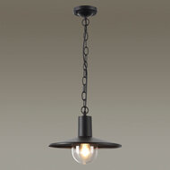 ������� ���������� Odeon Light 4833/1, ������