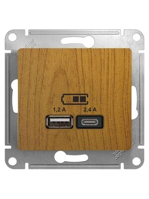 ������� Systeme Electric GLOSSA USB A+�, 5�/2,4�, 2�5�/1,2 �, ��������, ������ ��� GSL000539