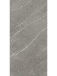 ��������������� ������ Atlas Concorde Marvel Grey Fleury Lapp (600�1200) �����, A21M (��.�.)