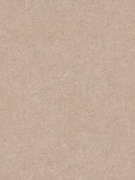 ���� ��������� �� ��������� Erismann Gentle ER12207-25 (1,06�10,05) ���������� (���.)
