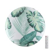 ���������� ���������� Sonex Pale Flori 7748/DL, �����