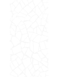 ������ ��������� AltaCera ������� (249x500) WT9SML00 (��.�)