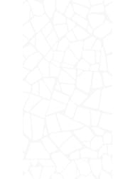 ������ ��������� AltaCera ������� (249x500) WT9SML00 (��.�)