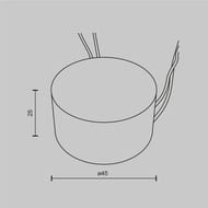 �������� ������� Maytoni Lighting control PSL-TR40-300mA Triac 12W IP54, �����