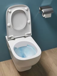 ������ ��������� Jacob Delafon STRUKTURA EDE102-00 (540�340) ������������