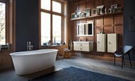 ��������� ��� ����� Duravit White Tulip WT5250000010 ���������, ������������ � ���. ����������, ����