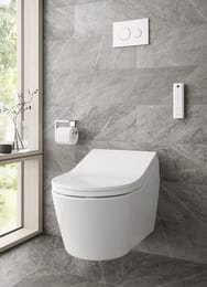 ������ ��������� TOTO RX Series (380x580x410) ����� CW542EY