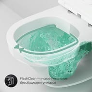 �������� ����������� AM.PM ������� Pro L �������.���� + ������ Inspire FlashClean ������� ��������� IS49051.501700