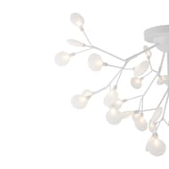 ���������� ���������� Freya Florencia (���������) FR5049CL-36W1, IP20,�����